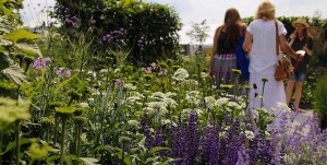 Visitors wander around the Blenheim Palace Flower Show 2014 wining show garden