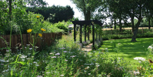 Wildflower Turf brings the countryside into the garden by edging this tranquil walkway